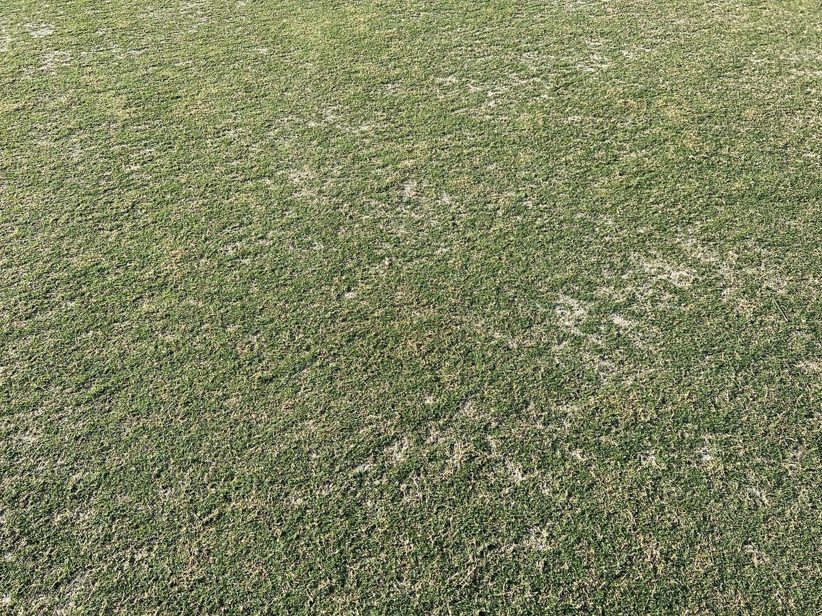 Joey Franco CGCS tweet media