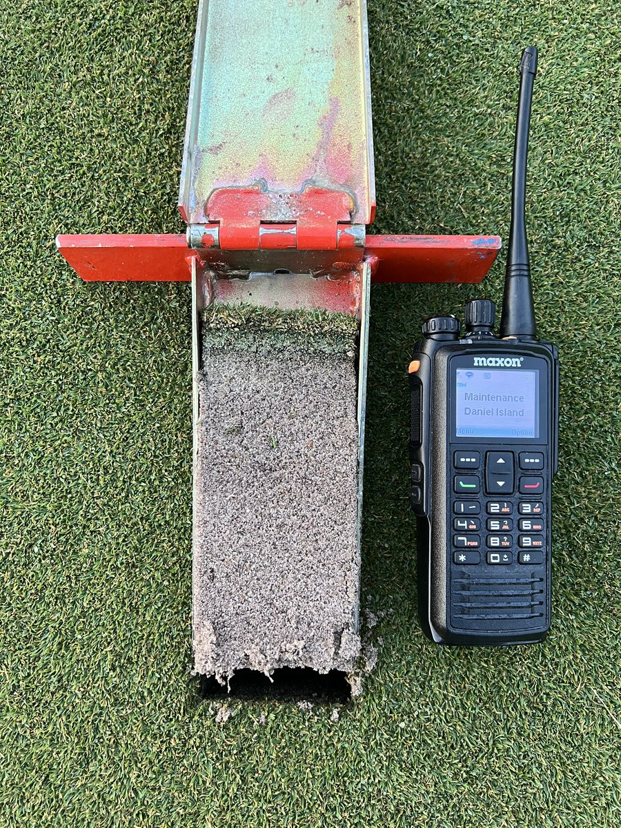 2 weeks. Cutting daily. Make it spread. Can’t wait been challenging 3 years. Looking forward to roots like this from 1 year old PG. TifEagle <a href="/NewLifeTurf1/">NewLife Turf</a>