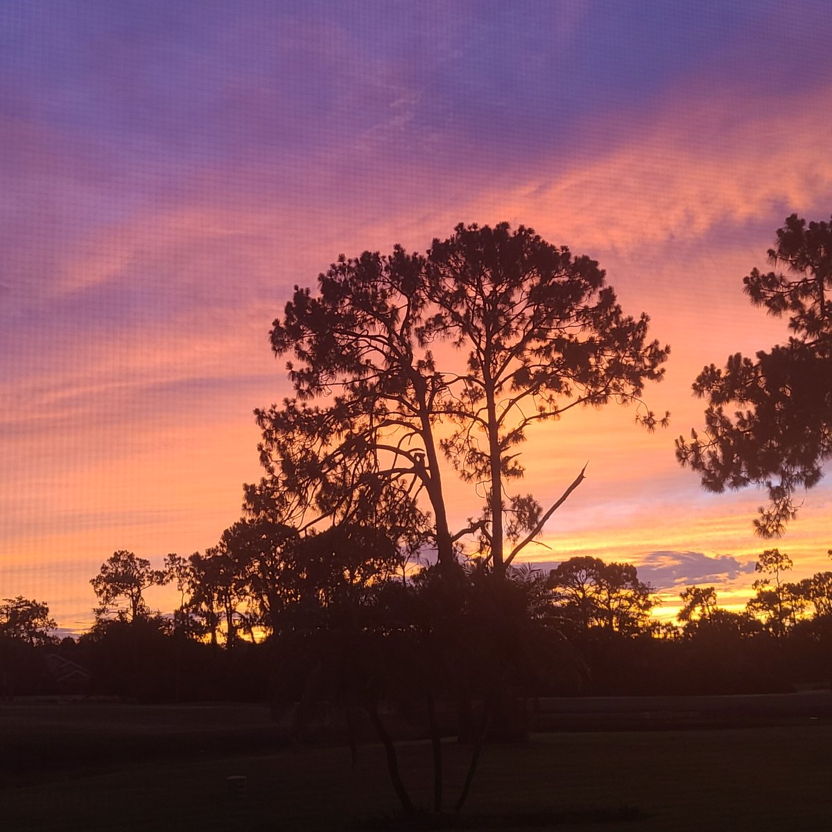 SOHIL (@alexjivani) on Twitter photo 