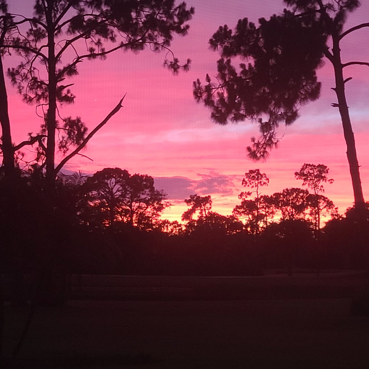 SOHIL (@alexjivani) on Twitter photo 