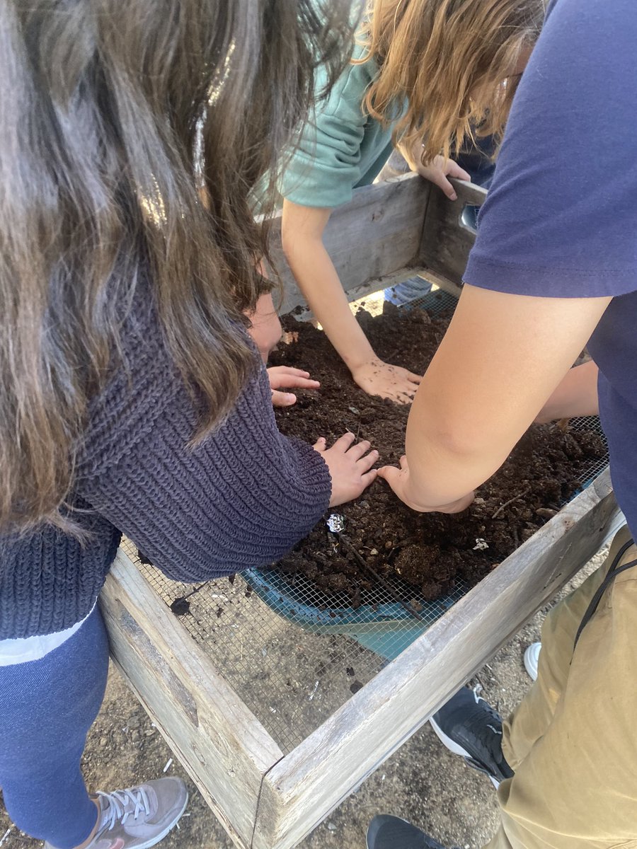 zayetzyj's tweet photo. Love my job with @BCKPrograms Teaching students how to compost is fun. Today my @PanthersPW group processed 2 bins. How beautiful it looks. #bckprograms #palmerwaypta #palmerway #PTAProud #PTA4Kids @PalmerWayPta https://t.co/XaySGFmtWH