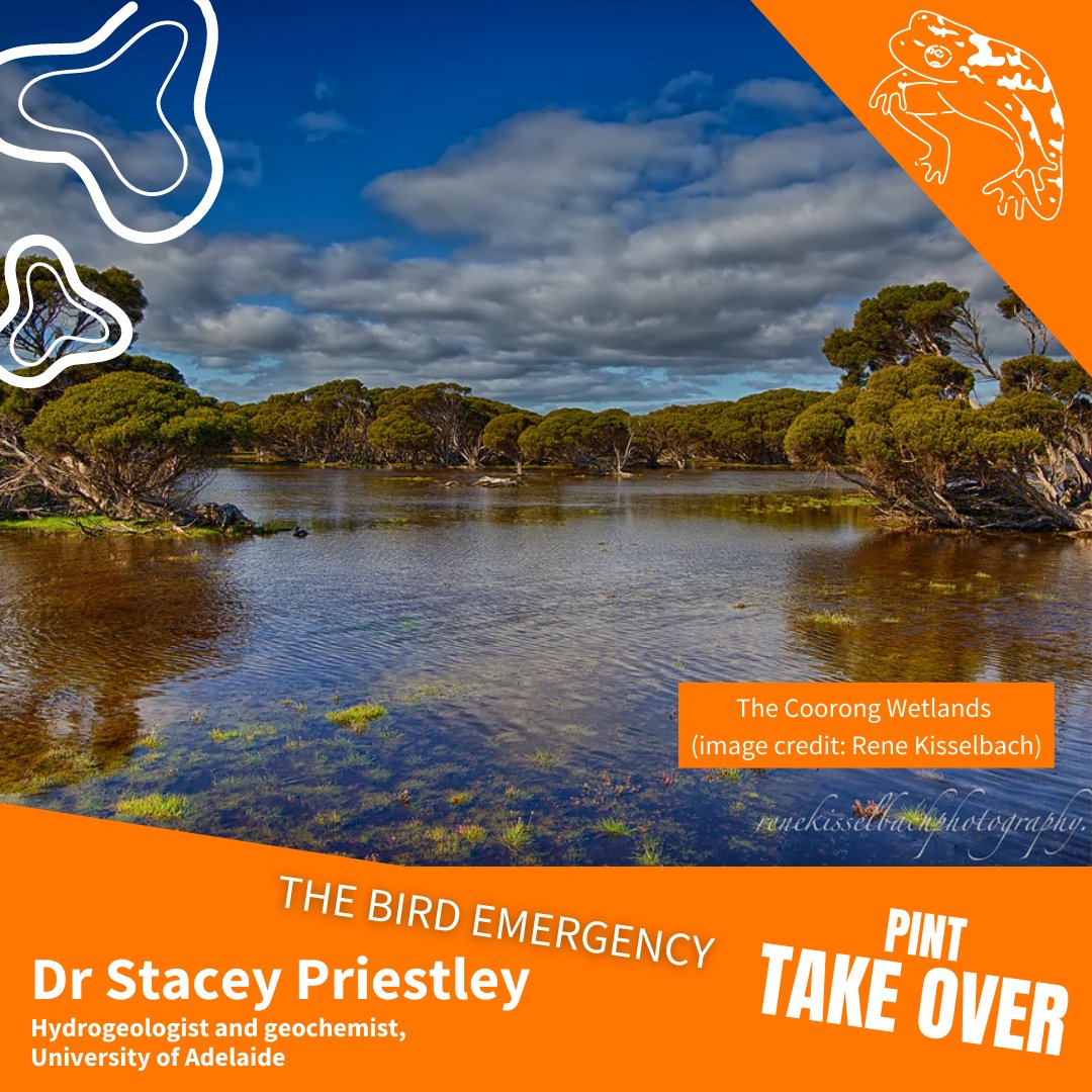 Pint of Science AU tweet media