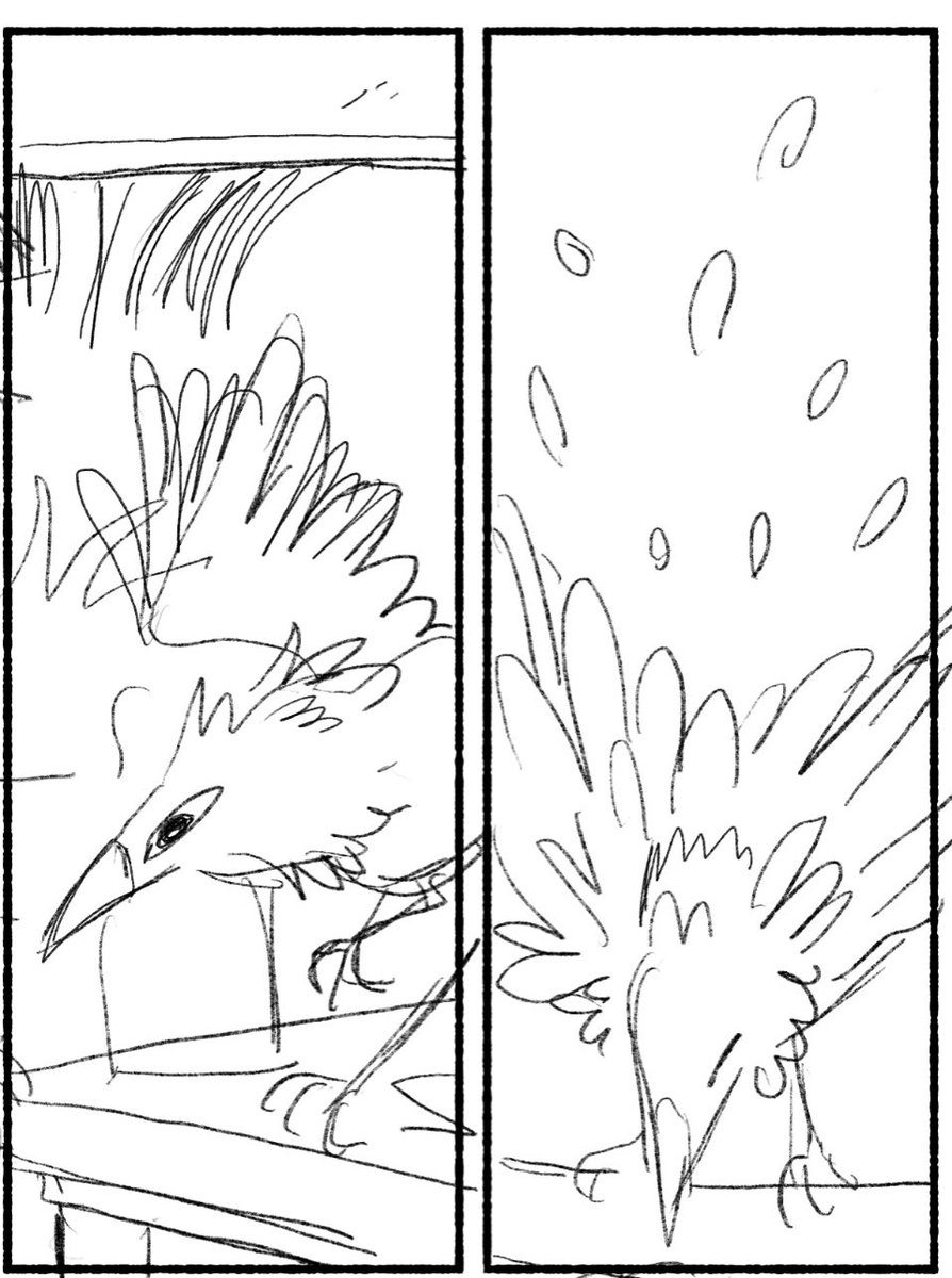 I'm going to pretend this is a story about a boy and his bird and nothing else 