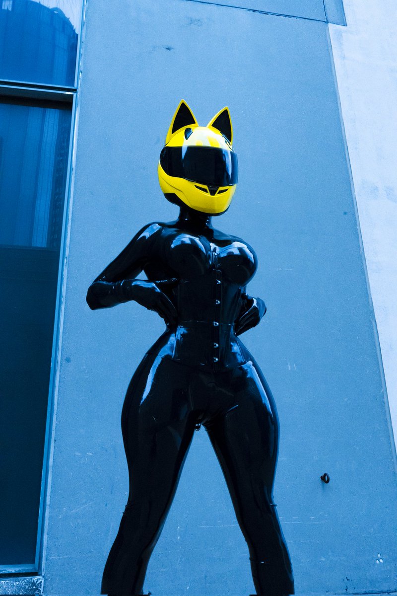 paralllaxus's tweet photo. Shiny Celty Cat https://t.co/j5uRxmyN45