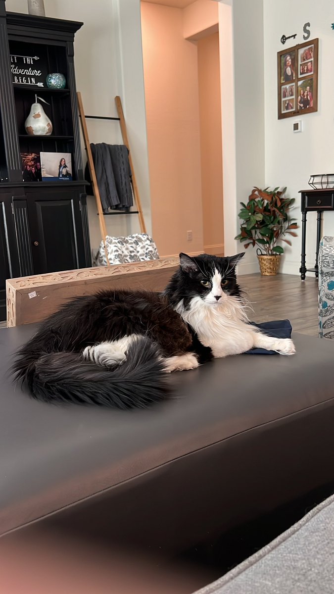 Mama here…. Tweeting for Jersey. Jersey was so sad that I went on vacation and left her for so long, but then lost followers also. Not sure why so many left? I’m home now and I’ll have her send her tweets and pictures.