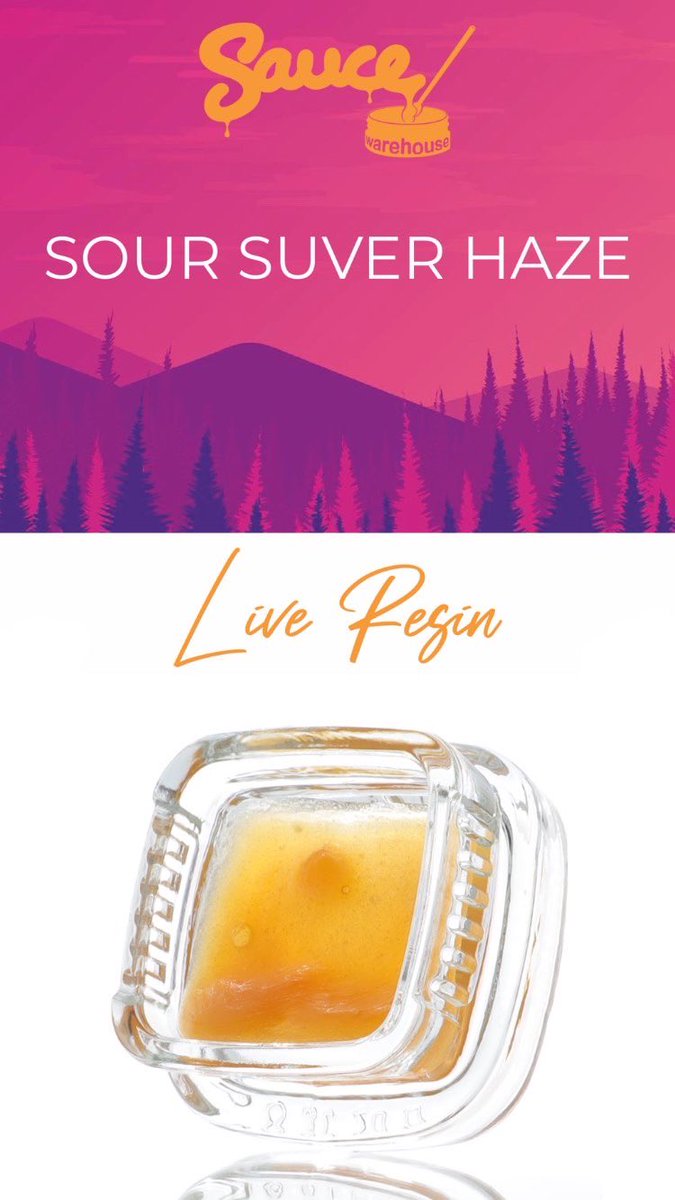 SauceWarehouse's tweet photo. Sour Suver Haze Live Resin
Classic haze flavor with notes of pine & gas⛽️🔥👌
https://t.co/zACzoQoh91
#cbd #cbddabs #cbdconcentrates #cbdextract #hempextracts #dab #dabs #concentrates #liveresin #StonerFam #420community #weed #WeedLovers #CannabisCommunity #terpenes #terps https://t.co/JWOWeCwgwb