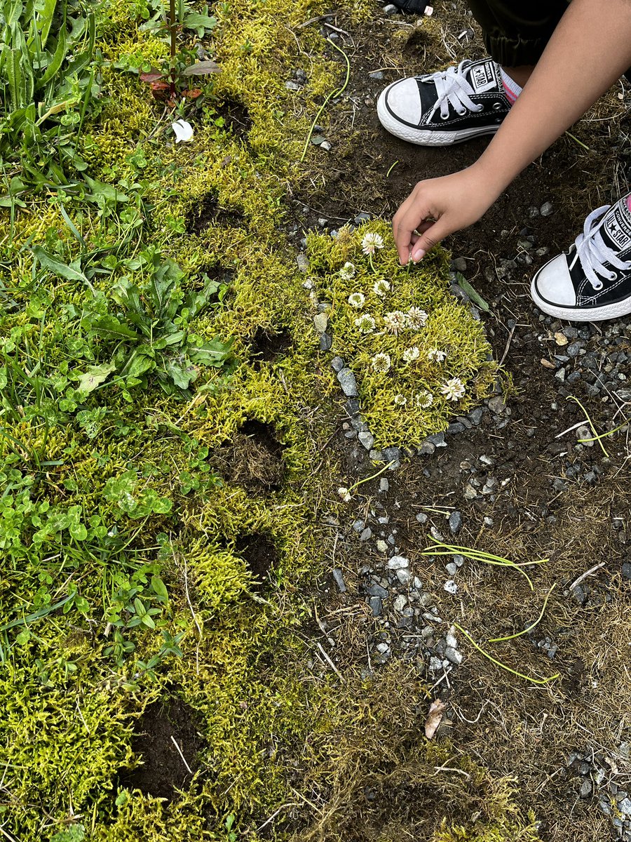 A little impromptu moss garden + flower array from today