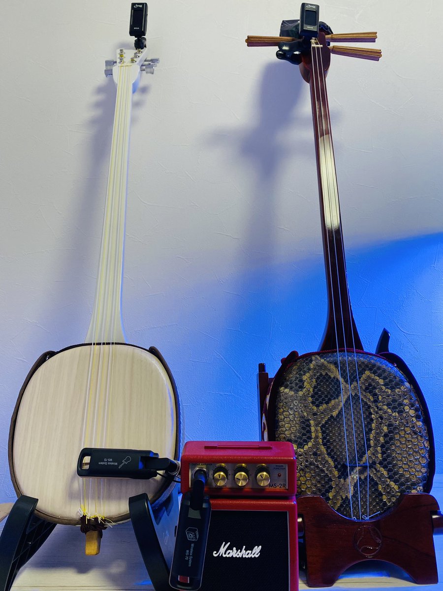tamachinoani's tweet photo. 我が家に愉快な一挺が増えました。ASOVITAさん渾身のラストペグ六線wirelessアンプ仕様。妙に青いライトは演出ではなくただの水耕栽培のライトです。
#ASOVITA #セカヤマ #三線 #六線 #gotou #ステルスキー #マーシャル https://t.co/9P0heacnD1