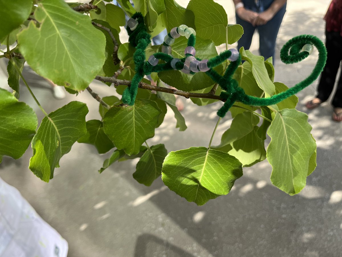 mrsgoteachnm's tweet photo. I work with THE best team @farmingtonms! Thank you @halliesmills and @WhentheBleep for the Beaded Chameleon activity! #RISETeam #HappySalmon https://t.co/RMGqsiu0Ku