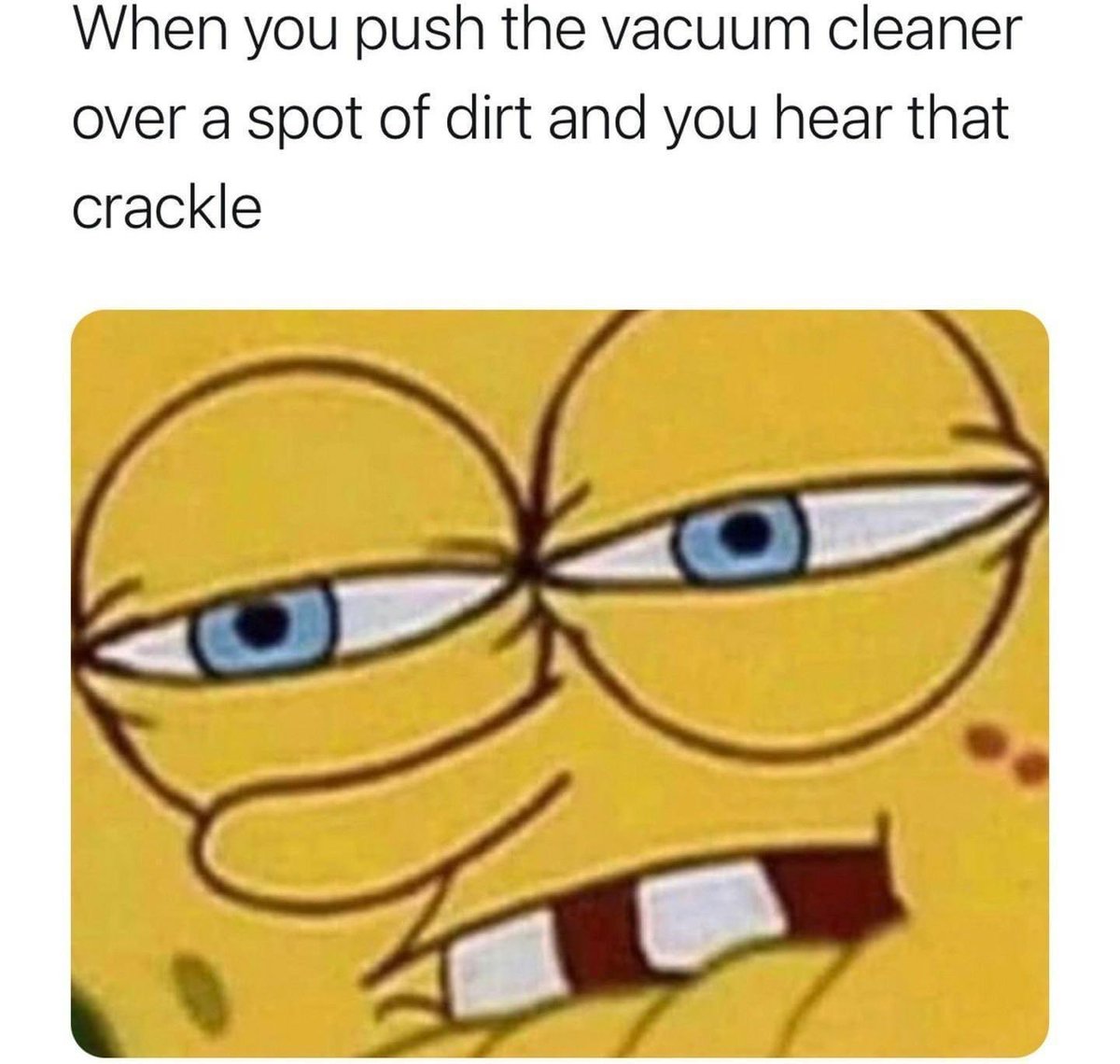 Dane Petrali (@dane_petrali) on Twitter photo 