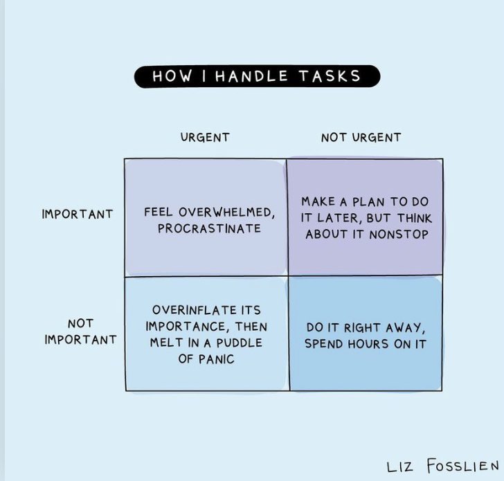 Dr Nicola Sergienko tweet media