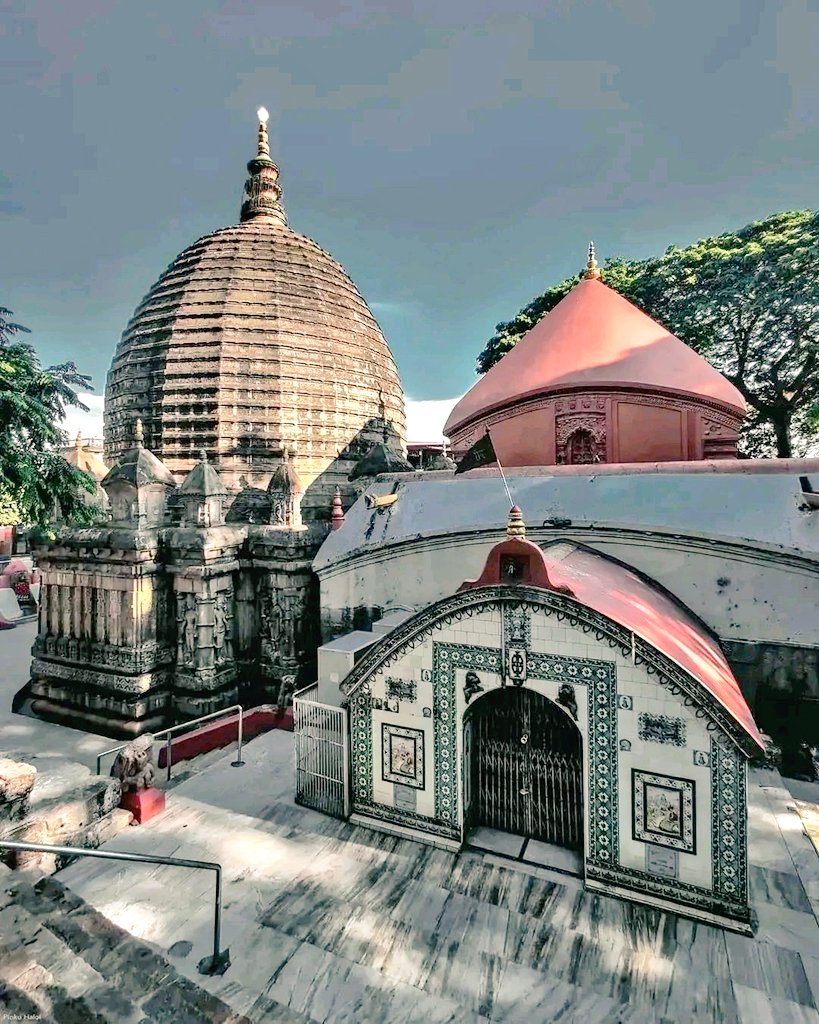 पूर्णिमा tweet media