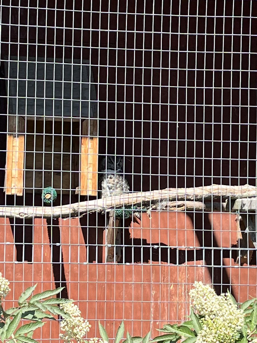 Found a fellow moonbird in Alaska but he didn’t want to say what’s up