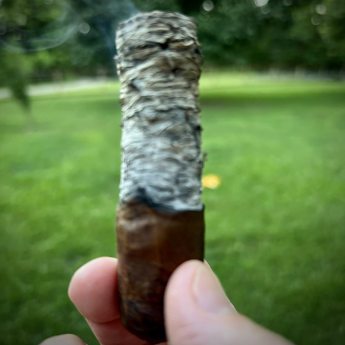 Not_That_JB's tweet photo. How it started; how itβs going. This @NUBCIGAR 460 Habano would have held its ash longer but I bumped it taking the pic. Enjoyed it all the same. #LongAsh https://t.co/6Xz6LkvbVp