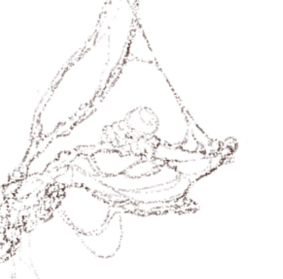 entlynk_art's tweet photo. metastasized faeries 🦠🧚✨

#digitalart #fantasyart #artwip #sketch https://t.co/IphC8fjLNh
