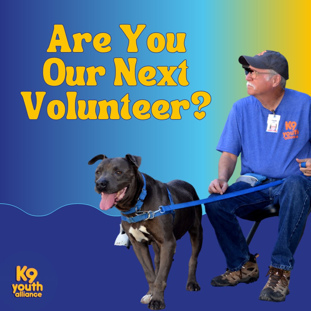 K9YouthAlliance's tweet photo. Are you K9YA’s next volunteer? We’re looking for responsible and enthusiastic individuals to volunteer during our Summer Program. Our volunteers will work directly with youth and shelter dogs as they mentor a student dog team on their journey of self-discovery. https://t.co/tB6yFcvqqK