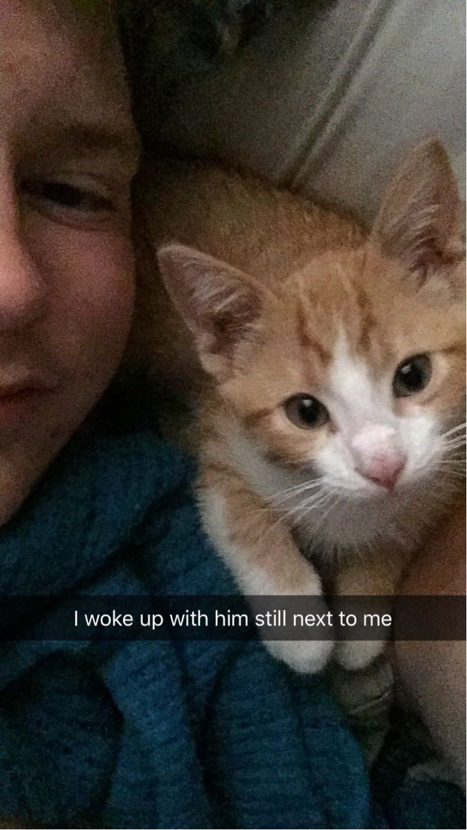 TheFreemizzle's tweet photo. I miss when Cho was a lil bb https://t.co/kkr1sn6kQC
