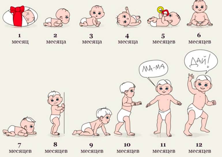 Я Ваша Кроха on X: Календарь развития ребенка по месяцам  https://t.co/cAK8dxxBny https://t.co/edw5QmStLk / X