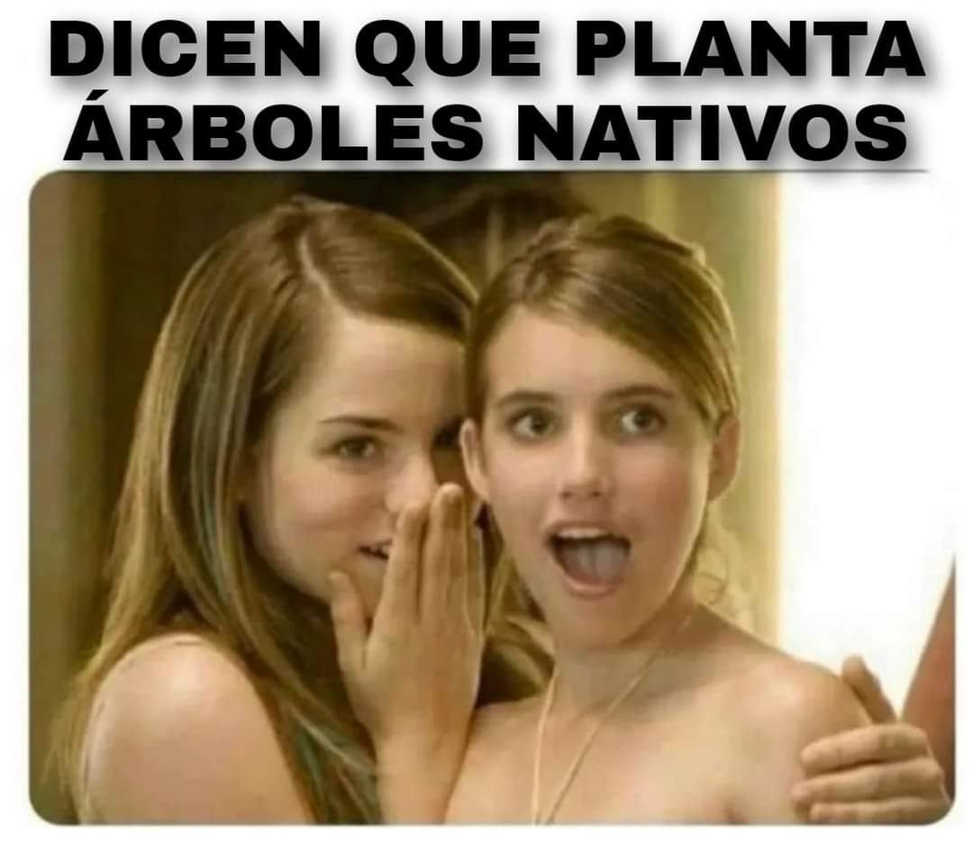 PuertoMontt_X's tweet photo. Definitivamente alguien con ese nivel de conciencia debe ser atractiv@ por naturaleza ✨
#EcoFREVS🌱
Somos más #PlantemosNativoFREVS https://t.co/xQzdrRNkfD