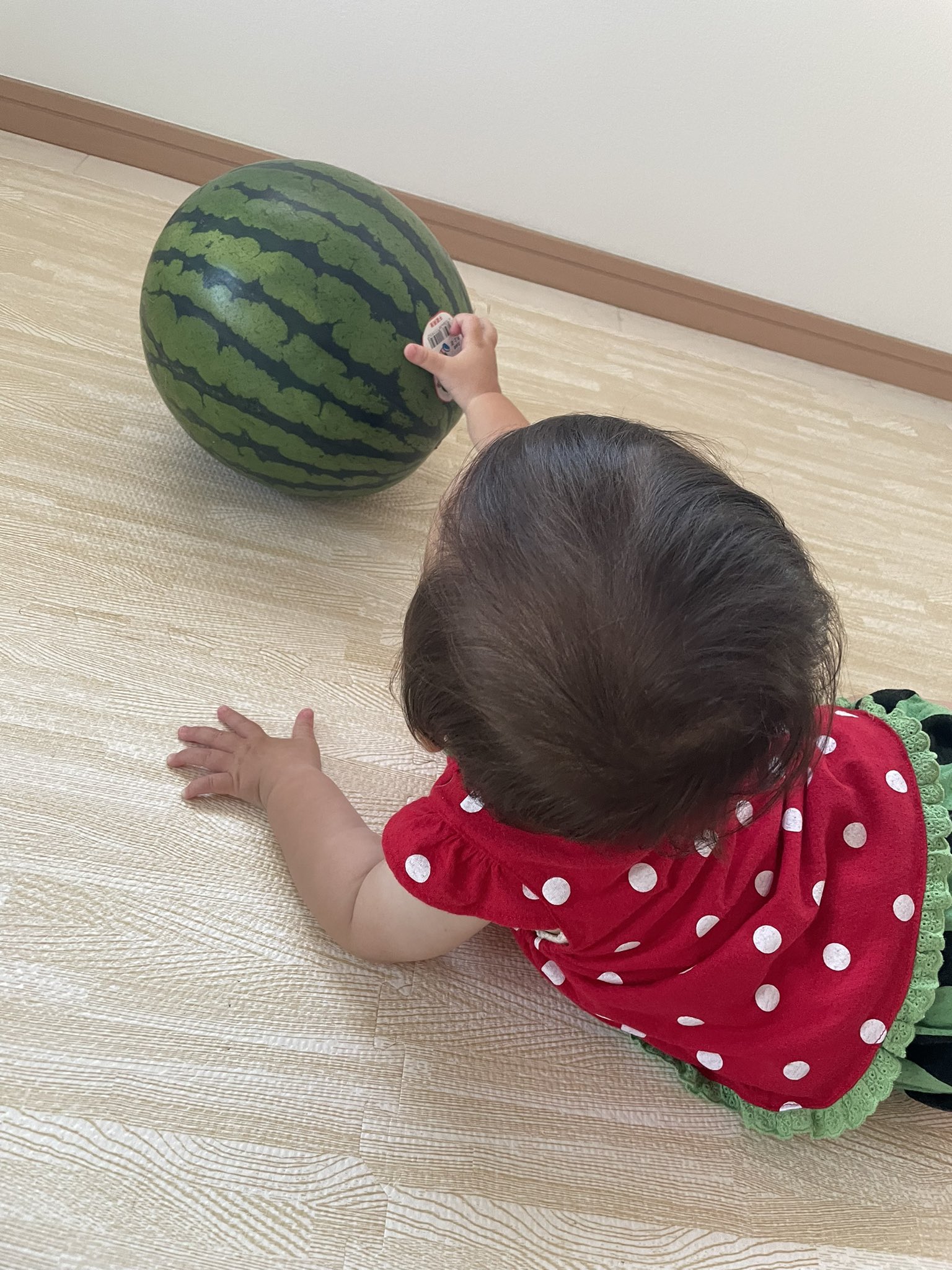 佐藤すみれ Sumire Sato リアル西瓜babyー 世界で一番好きだよ Twitter