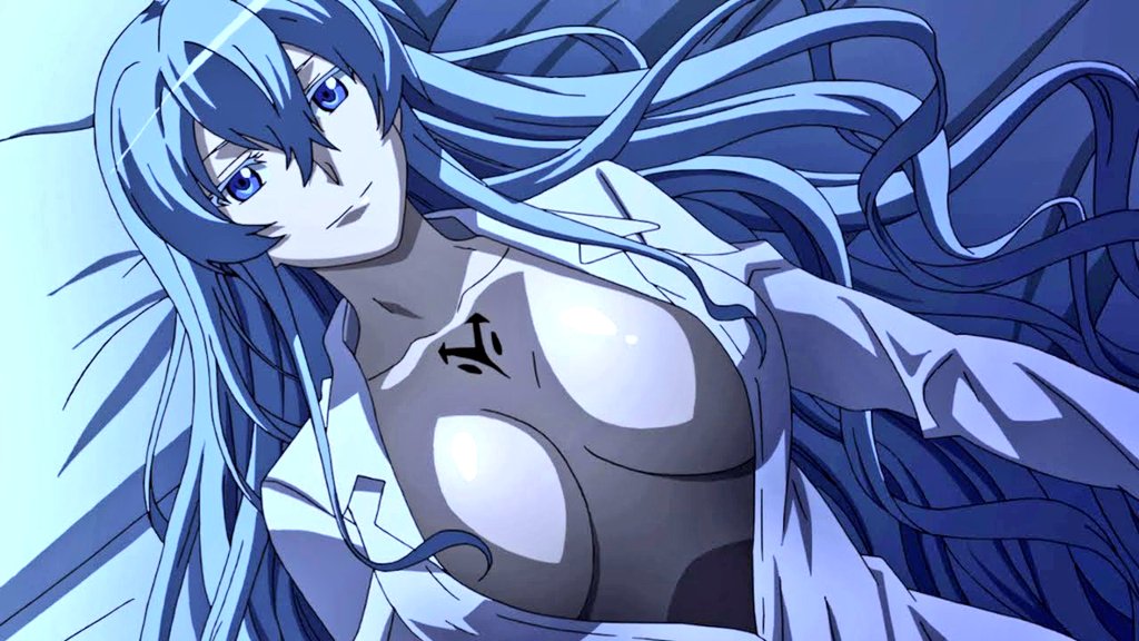 StudiOfficial on X: Esdeath 💙 Anime: Akame ga Kill!