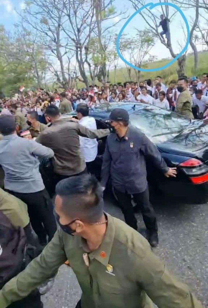 BertiLado's tweet photo. @nie_mans @wonggendheng00 @jokowi Naik pohon juga k😁 https://t.co/3VNjmNVLzQ