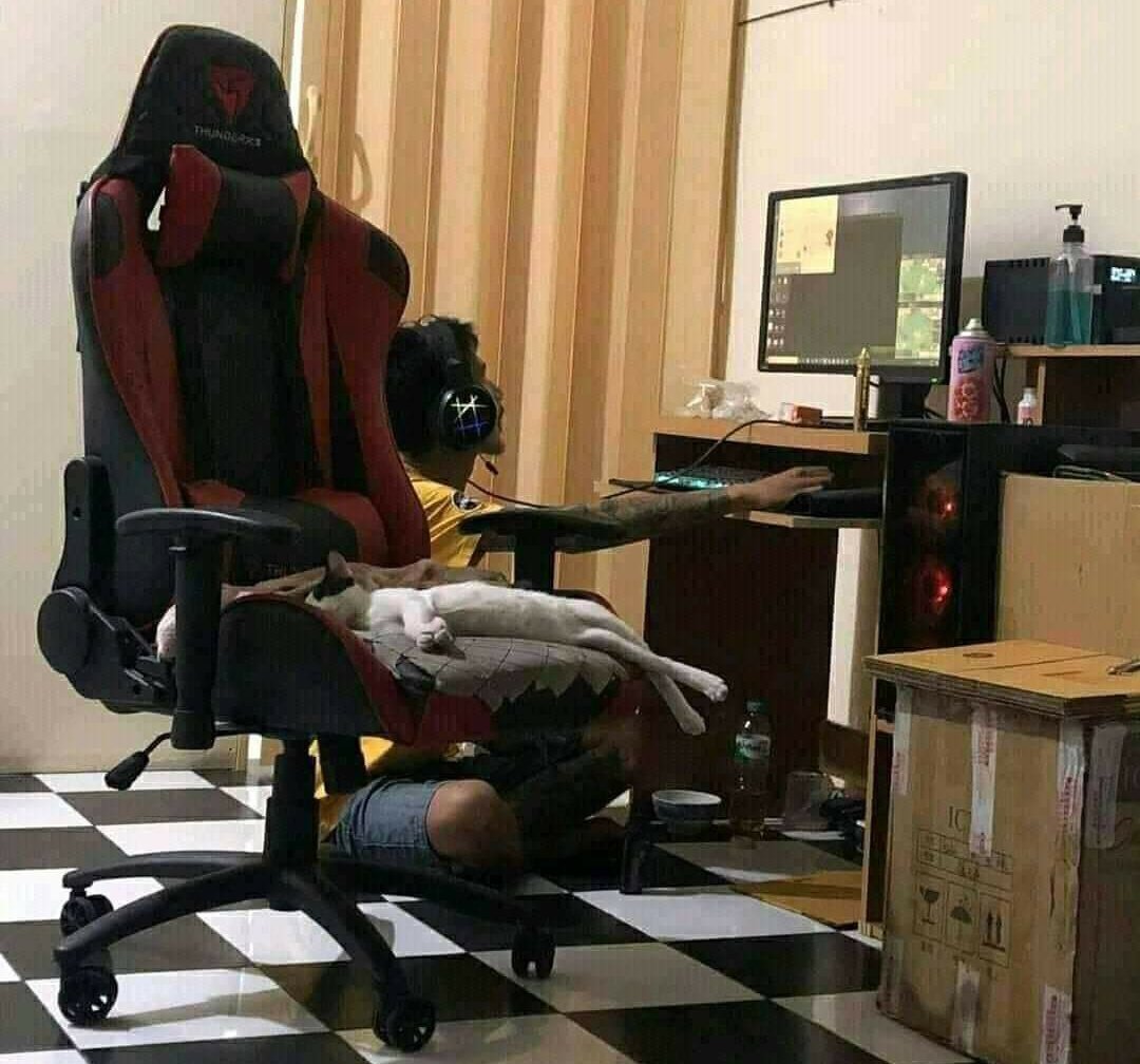 weirdlilguys's tweet photo. https://t.co/SV9duAfCVJ