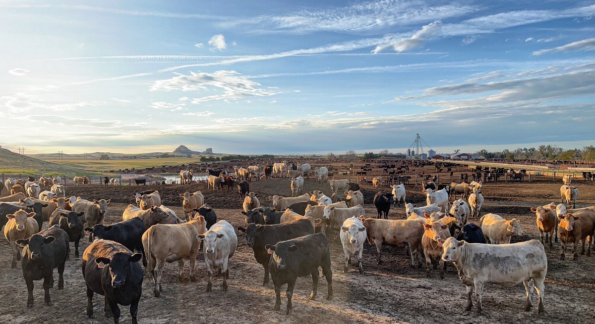 Conor Dwyer tweet media