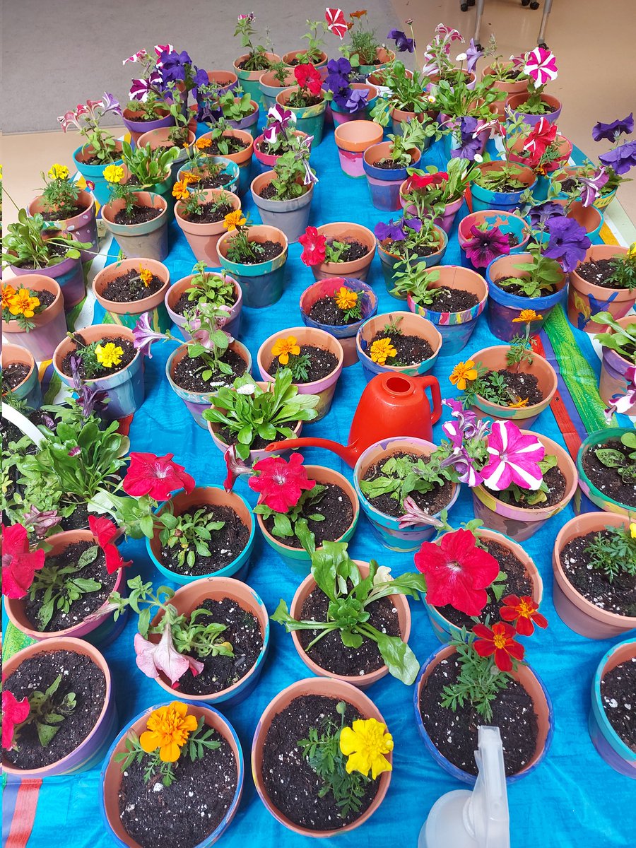 So proud of these gifts our Ks made for the "grown-ups who love us" and of our K team for making an inclusive shift towards celebrating all families &amp; caregivers this spring. <a href="/woodwardhill212/">Ecole Woodward Hill</a> #sd36learn