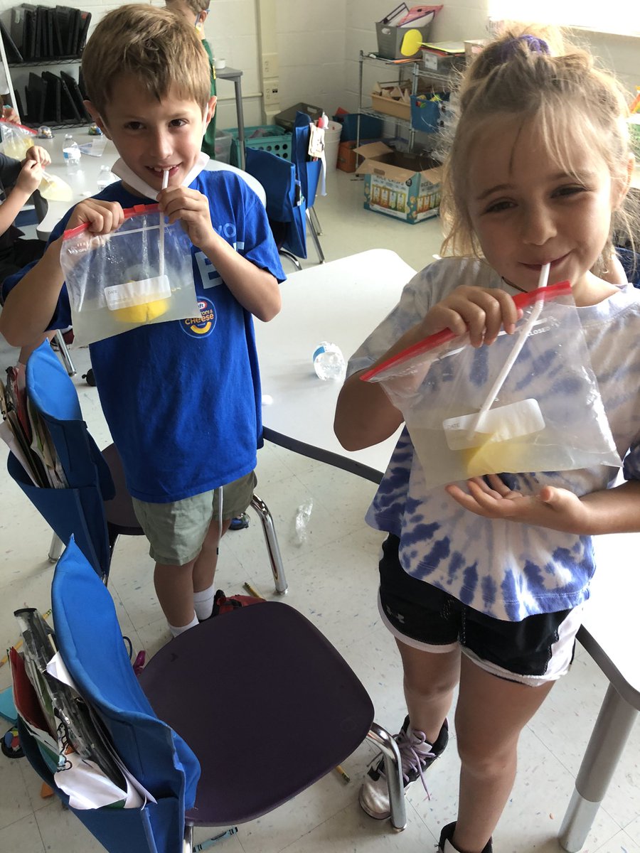 MsLiborosClass's tweet photo. Today’s countdown theme was All About Lemons! We read When Grandma Gives You a Lemon Tree, made lemonade and finished with a how to craftivity! Lemonade in a bag was a huge (bonus: spill/accident free) success!! https://t.co/M0qjDG6dvk