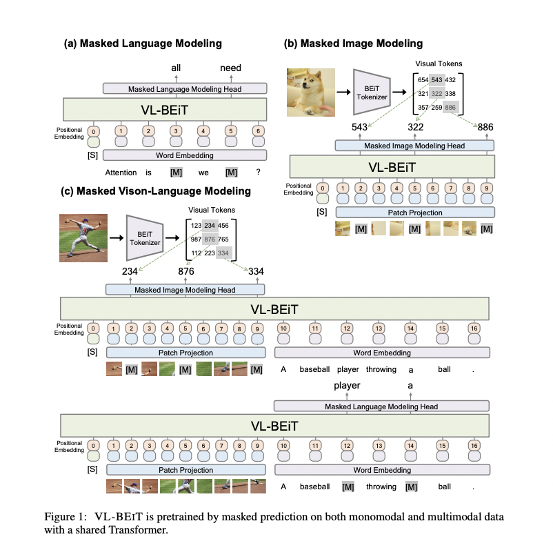 _akhaliq's tweet photo. VL-BEIT: Generative Vision-Language Pretraining
abs: https://t.co/CzsSb4Hxjc

introduce a vision-language foundation model named VL-BEIT, which is pretrained by the mask-then-predict task on both multimodal and monomodal data https://t.co/qYVGVAgMYS