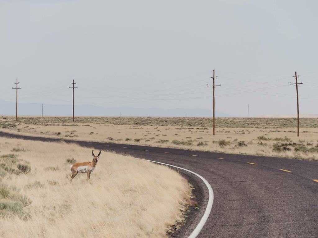 victoralonso_es's tweet image. Sometimes magic happens on the road 

#newmexico #vla #verylargearray #socorro instagr.am/p/CeU1ZSzr_82/