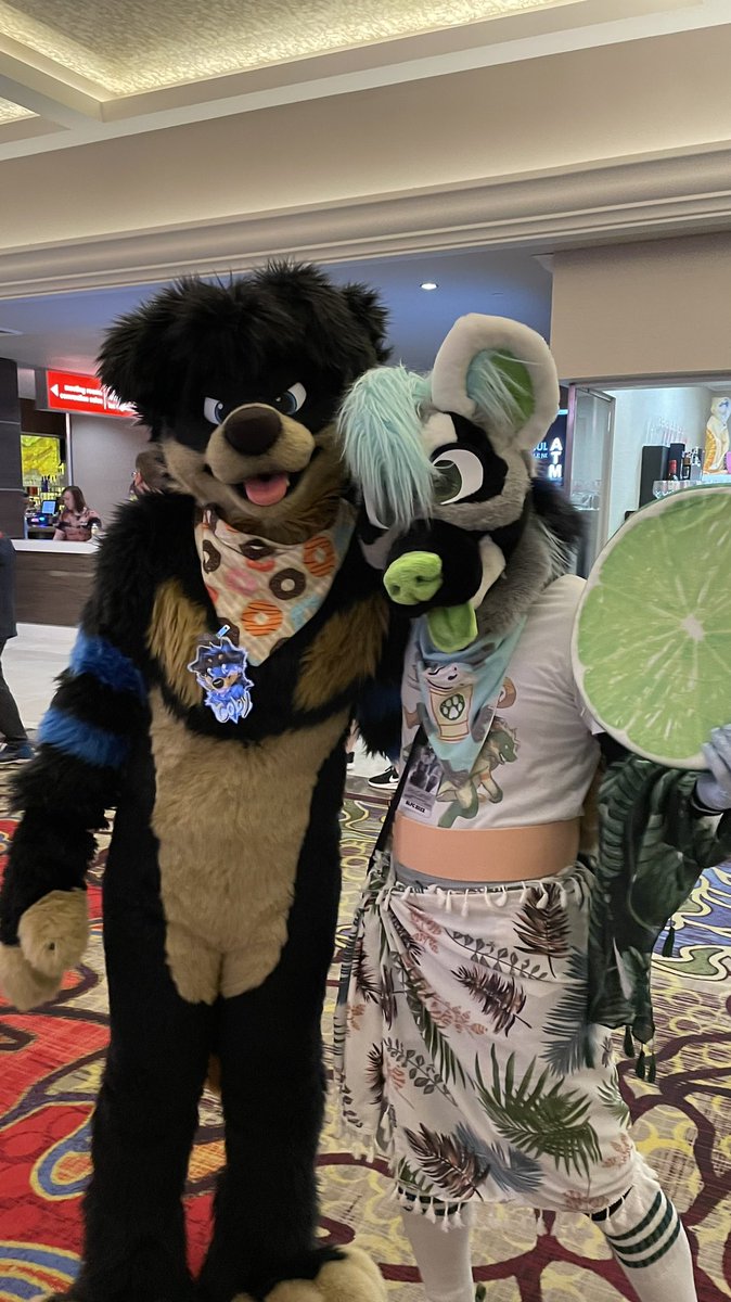 polycereal's tweet image. First time suit today! Met so many adorable cuties! 
@ClaudLeTigre
@CobyDoggo
@scootfennec 
@Tyrnn 

Gonna head out for more time, come say hi 🍋