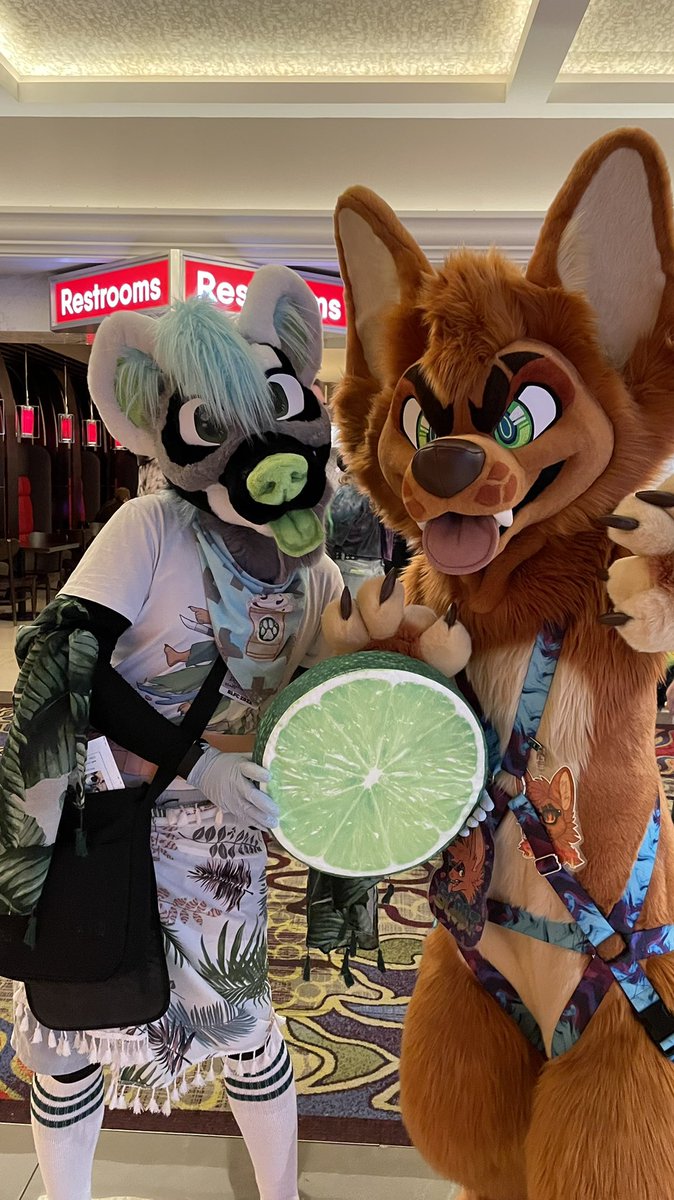 polycereal's tweet image. First time suit today! Met so many adorable cuties! 
@ClaudLeTigre
@CobyDoggo
@scootfennec 
@Tyrnn 

Gonna head out for more time, come say hi 🍋
