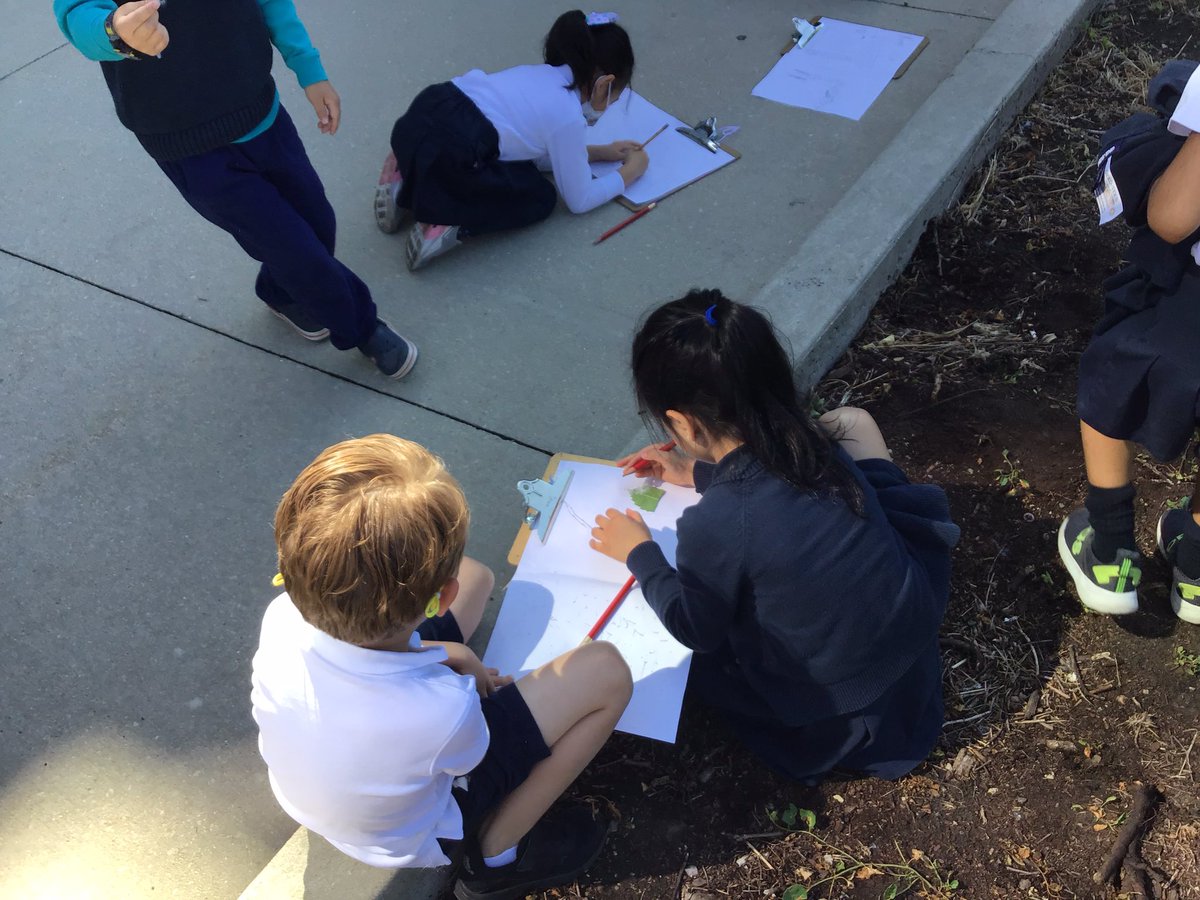 BISC-LP Reception tweet media