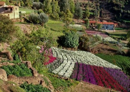 gabychavezd1's tweet photo. Beautiful landscape.#Biodiversity ..Tarma..#Andeanecosystem " The pearl of the Andes"..also known as  .."The valley of the flowers".#Peruviangermplasm ..at the Central highlands in Junín..Perú.. https://t.co/roBodeGguj