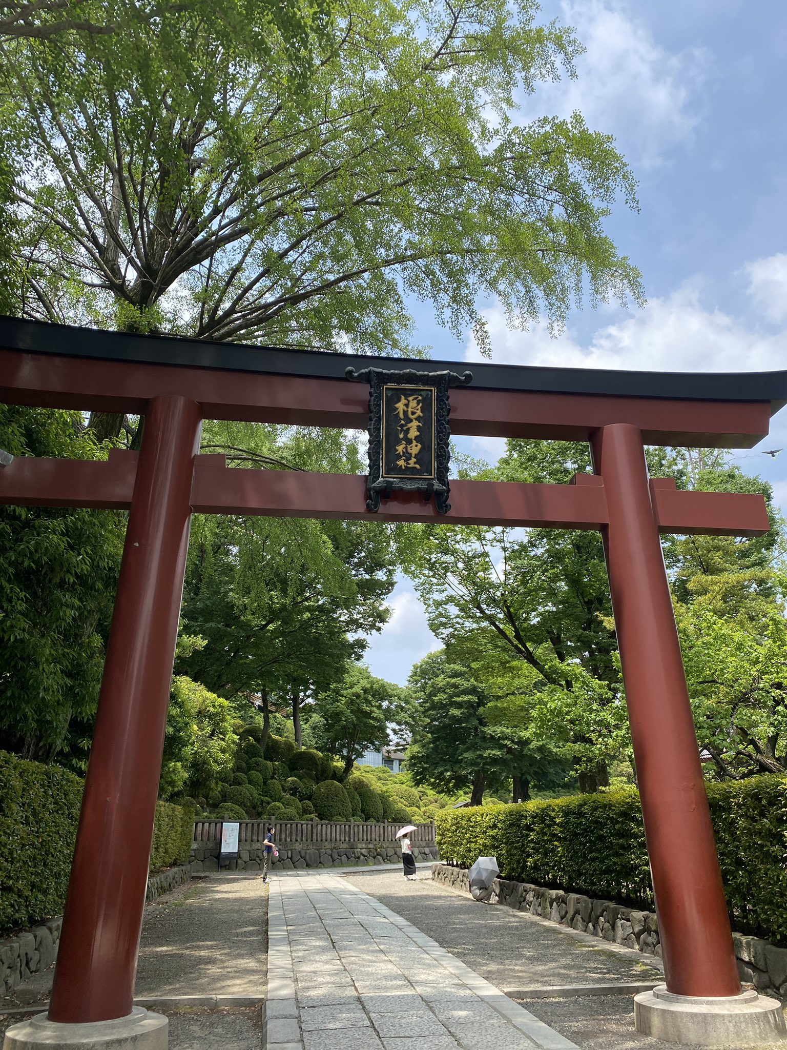 マリー 2 7p席 東京観光 まずは安定の根津神社 T Co Yziolyvvok Twitter