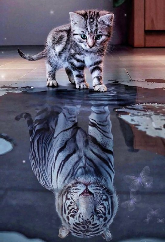 DonnaOPV's tweet photo. 【Life】
When you face setbacks and disappointments, you should have a calm state of mind. Only when you understand calmness can you understand life. https://t.co/NL4AODrpz7