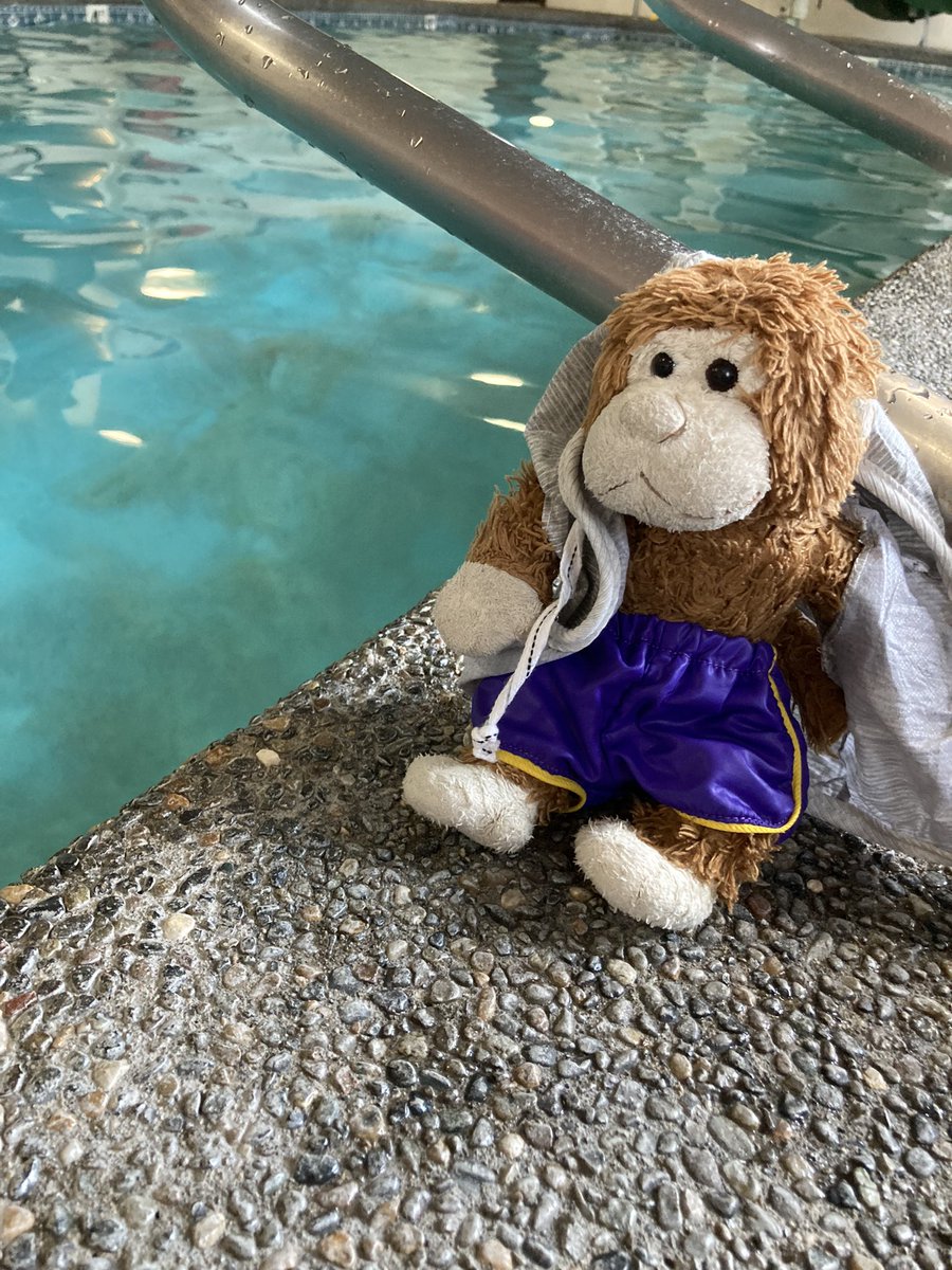 TheSmoochMonkey's tweet photo. Another business travel day!!  Soooo difficult! https://t.co/ZbEswiacSz