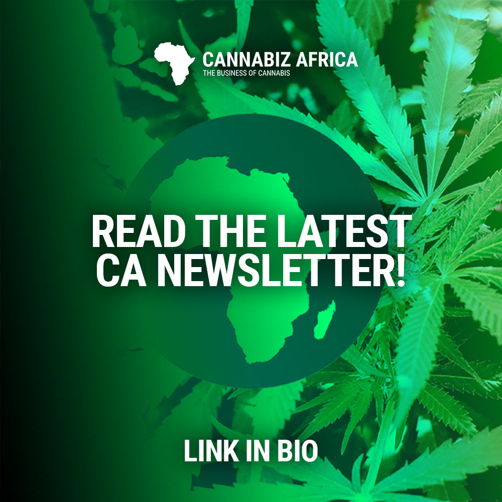AfricaCannabiz's tweet photo. State Concedes that Private Cannabis Clubs Might Be a Good Idea After All! - https://t.co/w5zd7NtbQR

#privatepurposesbill #cannabis #southafrica #cannabizafrica #Cannabisnews #Newsletter https://t.co/FCzKGiWcQc