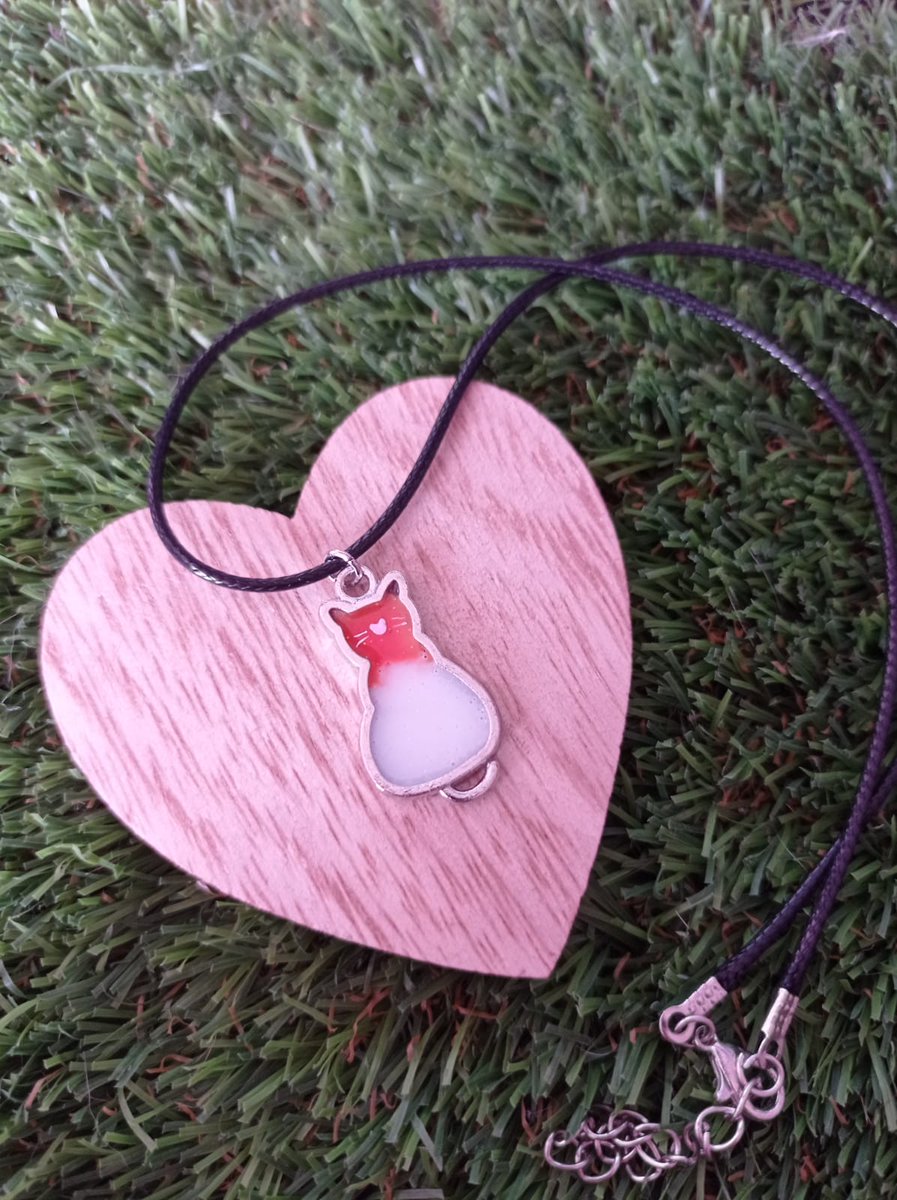 Huroncilla tweet media