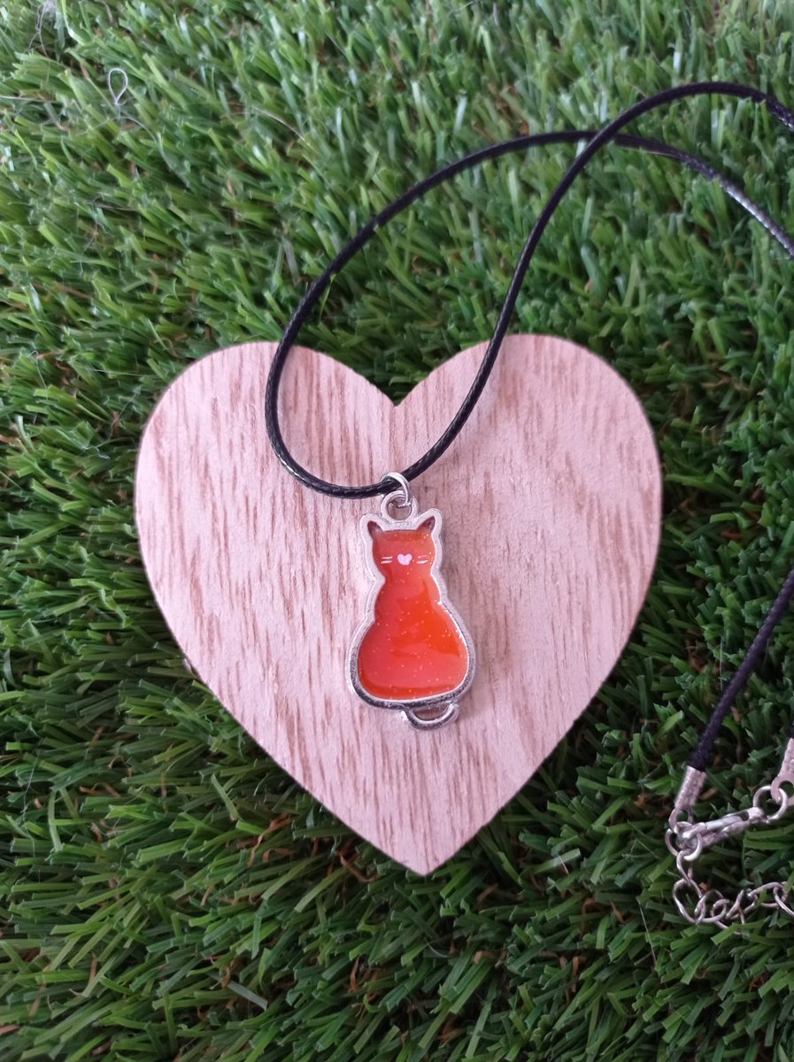 Huroncilla tweet media