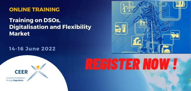 CEERenergy's tweet photo. Don’t forget to register to the upcoming CEER #training on #regulation of #DSOs! 

📆 14-16 June 
📍online
📝 overview of DSOs' roles as defined in the 
#CleanEnergy #Package. 

Register here 👉https://t.co/x59snIvIMU https://t.co/c3Abt2QcRx