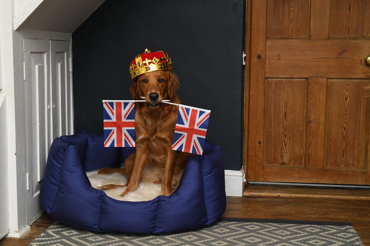 JUBILEE DISCOUNT NOW LIVE ON THE WEBSITE
ENTER : JUBILEE5TWEET AT CHECKOUT
DISCOUNT LIVE UNTIL 6TH JUNE