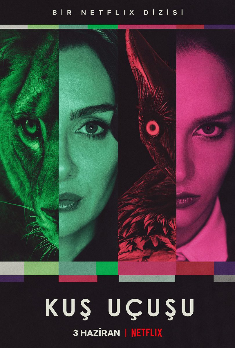 dizilah's tweet photo. Two women — one circling the other like a vulture would a withering lion. Can pride and integrity survive the ravenous plucking by envy and desire?

As the Crow Flies, starring Birce Akalay, Miray Daner, and İbrahim Çelikkol, is now sreaming on Netflix: https://t.co/lWkoC9exLE https://t.co/tvxHQqbMFS
