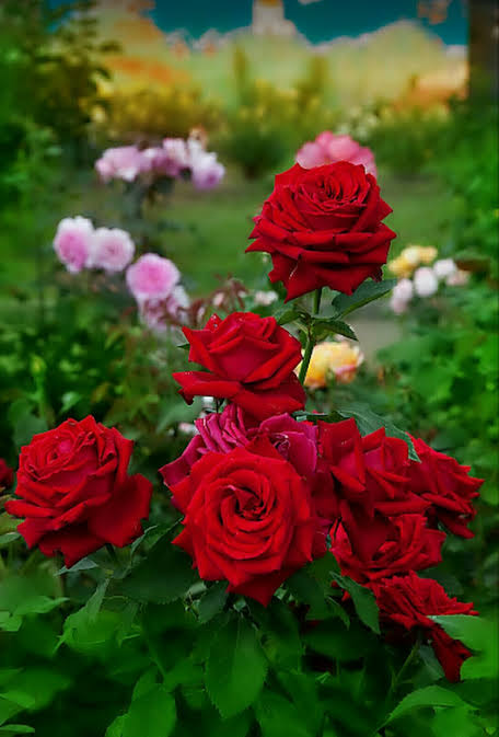 ParbatiBehera17's tweet photo. https://t.co/Vd22EWVVWC