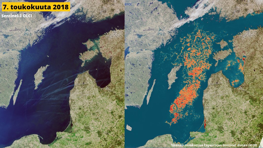 SakariVakeva's tweet photo. Sinileväkautta jännitetään, mutta harva tietää, että Itämeren suurin planktonkukinta tapahtui jo huhti–toukokuussa. Kevätleväkukinta on helppo missata, sillä se erottuu vain vaivoin #TARKKA-palvelun tosivärikuvilta, mutta vedenlaatuprosessoinnilla sekin tulee näkyviin. 1/2 https://t.co/acn6Dr4L9D