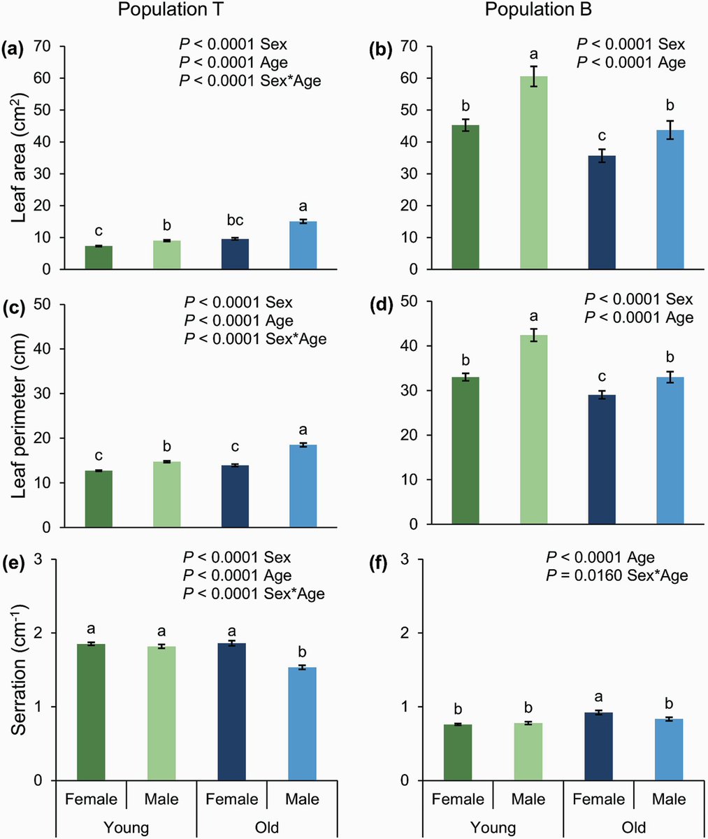 JPlantEcol's tweet image. Intersexual differences in leaf size and shape in dioecious Adriana tomentosa
☘️doi.org/10.1093/jpe/rt…
#Adrianatomentosa
#dioeciousspecies
#leafshape
#leafsize
#serration
