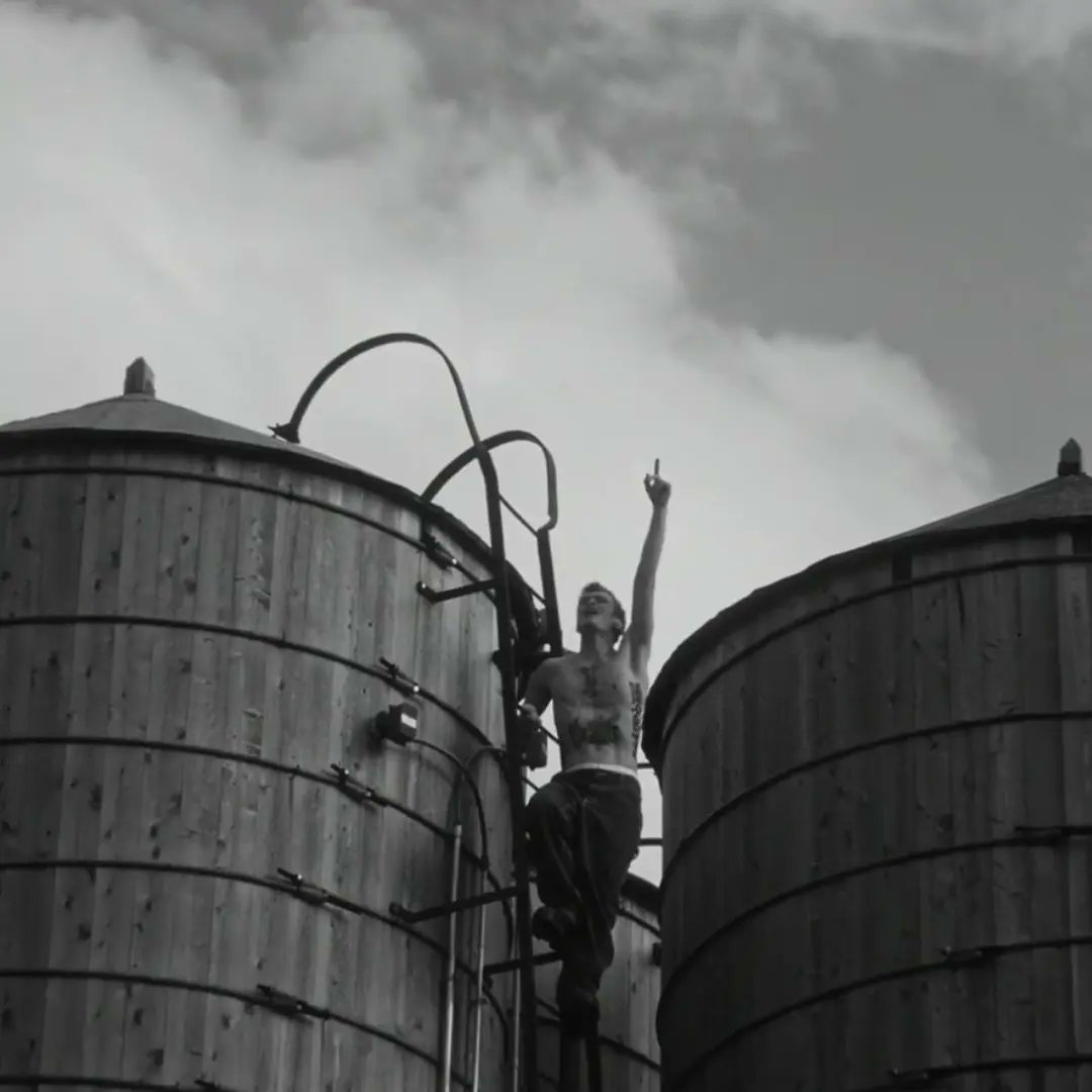 Collisioni Festival tweet media