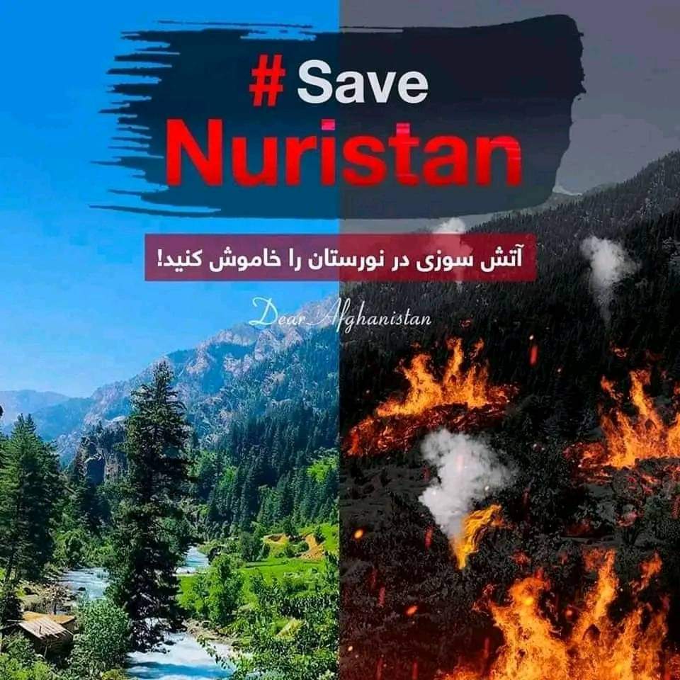 AnasRahimi8's tweet photo. این آتش‌سوزی، طبیعی و خودبخودی نیست، ولی درک ملت‌های غافل به این حقیقت‌ها نمی‌رسد!
دشمن اجازه نمی‌دهد که طبیعت زیبا، آب و هوای صاف و غذای سالم و کافی در سرزمین ملت‌های مستضعف و فاقد شعور سیاسی و آزادی وجود داشته باشد. https://t.co/WrlokQJXiz